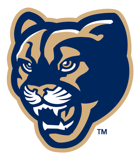 Brigham Young Cougars 1999-2004 Alternate Logo v4 diy iron on heat transfer